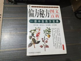 偏方秘方图文百科（封底和后小部分书沿处沾了水渍略有褶皱 内页完整）