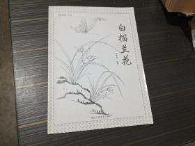 白描兰花