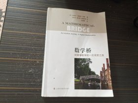 数学桥：对高等数学的一次观赏之旅（后小部分书沿沾了水渍 内页完整无写画）