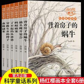 杨红樱画本 科学童话系列（森林谜案等）全6册