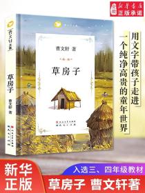 统编语文教科书必读书目 快乐读书吧 名著阅读课程化丛书：二年级下册 大头儿子和小头爸爸