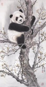 张玉涛手绘三尺 国画《熊猫》原创真迹收藏送礼书房茶室会所挂画100*50cm,,标价为单幅作品价格，支持合 影视频。