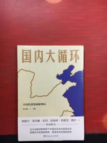 国内大循环(何毅亭、黄奇帆、孔丹、迟福林、姚洋、黄群慧等撰文) 全新未拆封