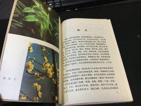 茶用香花志【记录了所有可以和茶叶窨制花茶的香花和制作工艺】基本未翻阅