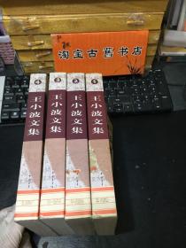 王小波文集(4卷)