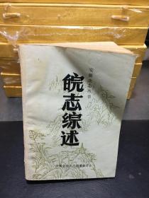 《皖志综述》（史州）——安徽史志丛书