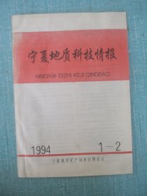 宁夏地质科技情报 1994