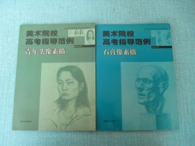 美術(shù)院校高考指導(dǎo)范例.石膏像素描、青年頭像素描、合售