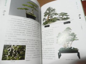 图解树木盆景制作与养护  盆景制作与赏析（松柏·杂木篇）图解附石盆景制作与养护（彩图版） 3册合售