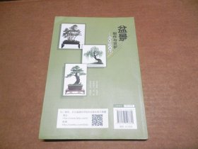 图解树木盆景制作与养护  盆景制作与赏析（松柏·杂木篇）图解附石盆景制作与养护（彩图版） 3册合售