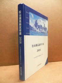 松山湖高新区年鉴 2018