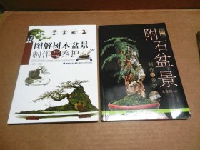 图解树木盆景制作与养护  盆景制作与赏析（松柏·杂木篇）图解附石盆景制作与养护（彩图版） 3册合售