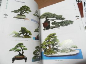 图解树木盆景制作与养护  盆景制作与赏析（松柏·杂木篇）图解附石盆景制作与养护（彩图版） 3册合售