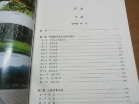 文山壮族苗族自治州志1996-2010（下）