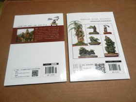 图解树木盆景制作与养护  盆景制作与赏析（松柏·杂木篇）图解附石盆景制作与养护（彩图版） 3册合售