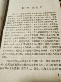 苏东坡传