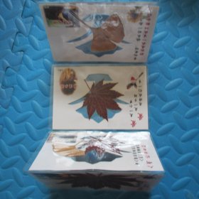 塑封枫叶标本卡片：本溪水洞（五枚合售）