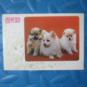 八十年代花仙子贺年卡：新年好——世界名犬