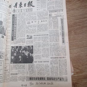 丹东日报1991.3.11