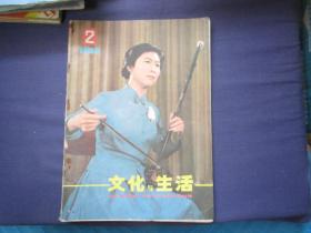 文化与生活1984-2