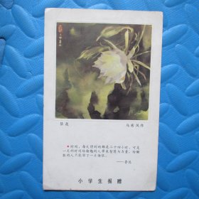 八十年代小学生报赠：昙花（小学生日记游记征文比赛纪念）