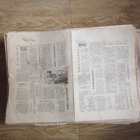 丹东市农牧局：农经信息1986.5.30