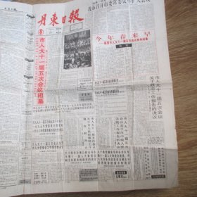 丹东日报1996.1.29