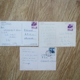 八十年代实寄封明信片：哈尔滨市电话局——辽宁省宽甸县邮电局（三枚合售）