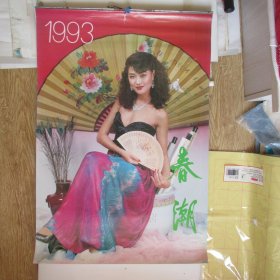 1993年挂历：春潮73*52（13张全）