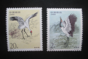 1994-15美洲鹤