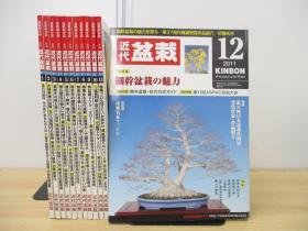 月刊 盆栽杂志  全年12期  12册   2011年  近代出版  品好包邮