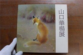 山口华杨展 山口华杨画集 绘画 品好 快递 包邮