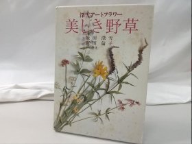 造花  饭田深雪  美丽的野草 　美しき野草 饭田深雪, 饭田伦子 海龙社 品好包邮