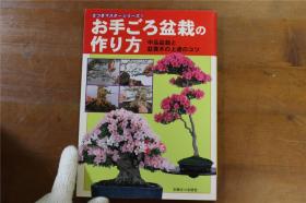 杜鹃盆栽全技巧系列之1  中品盆栽和盆养木的栽培技巧  品好包邮