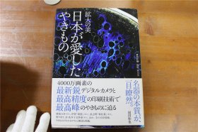 天目  日本が愛した焼き物　陶瓷名器扩大图    逼近名器的本质  16开 精装