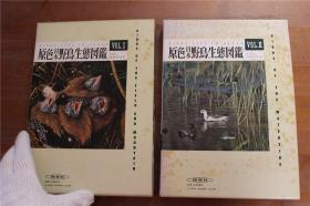 原色日本野鸟生态图鉴  上下2册 带盒套     品好包邮