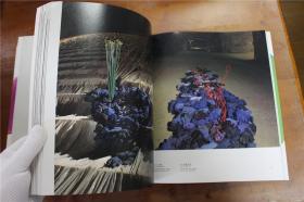 日本现代插花全集 Contemporary IKEBANA いけばな    第2卷  收录12位现代插花家   品好包邮