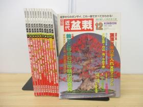 月刊 盆栽杂志  全年12期  12册   2002年  近代出版  品好包邮