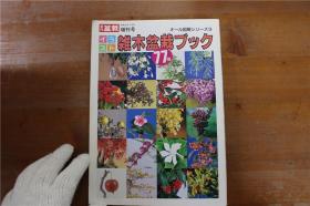 日语原版  近代盆栽 増刊号 图解 杂木盆栽手册 77种 仅此一本 品好包邮！
