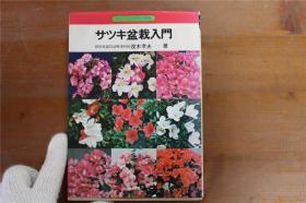 杜鹃盆栽入门  仕立て方と四季管理　包邮