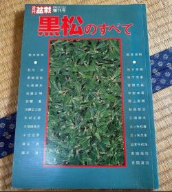 近代盆栽 増刊号 黑松  1986年版 绝版  品好 包邮