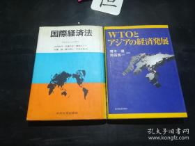 国際経済法  山内惟介=楢﨑みどり等訳【见图中该书】