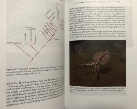 【现货包邮】The Cambrian Explosion: The Construction of Animal Biodiversity