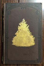 【现货包邮】 A Manual of The Coniferae 针叶树木图鉴  1881年初版 大量木刻雕版版画插图 大开本