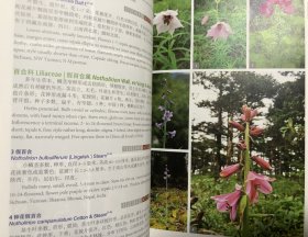 【现货包邮】横断山有花植物图鉴