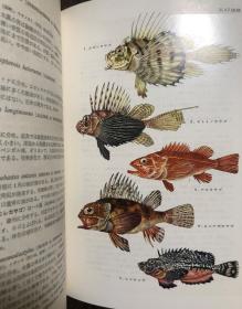 [顺丰包邮 现货]  原色日本鱼类图鉴（改订版） 及 续原色日本鱼类图鉴（两册 全）