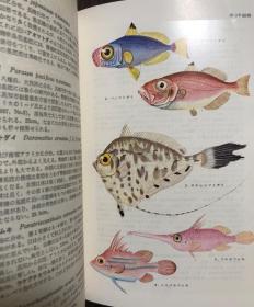 [顺丰包邮 现货]  原色日本鱼类图鉴（改订版） 及 续原色日本鱼类图鉴（两册 全）