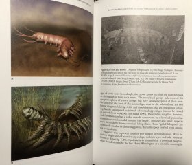 【现货包邮】The Cambrian Explosion: The Construction of Animal Biodiversity