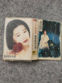 磁带：孟庭苇 谁的眼泪在飞