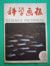 科学画报：1984-8